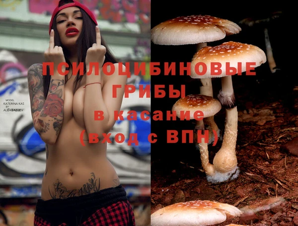 MESCALINE Каменка