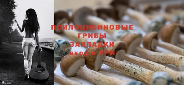 MESCALINE Каменка
