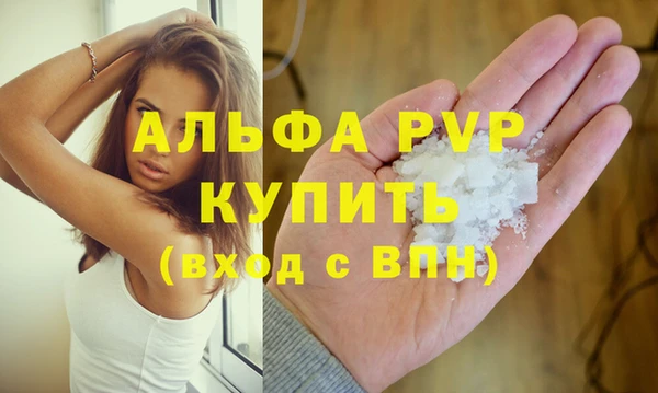 гидра Каменногорск