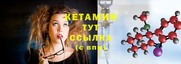 гидра Каменногорск