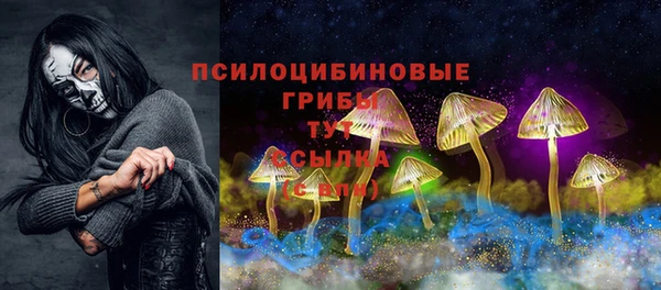 амф Каменск-Шахтинский