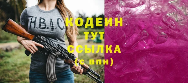 гидра Каменногорск