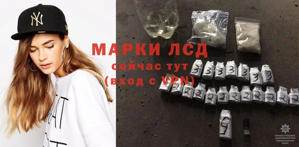 гидра Каменногорск