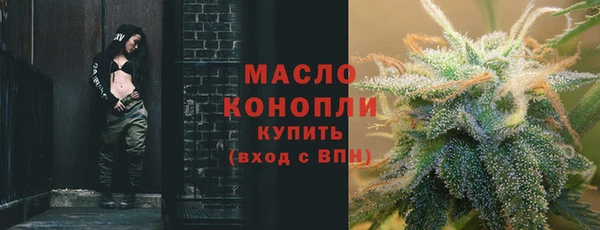 гидра Каменногорск